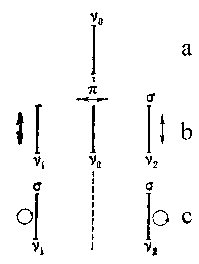 Effects of polarisation in split lines