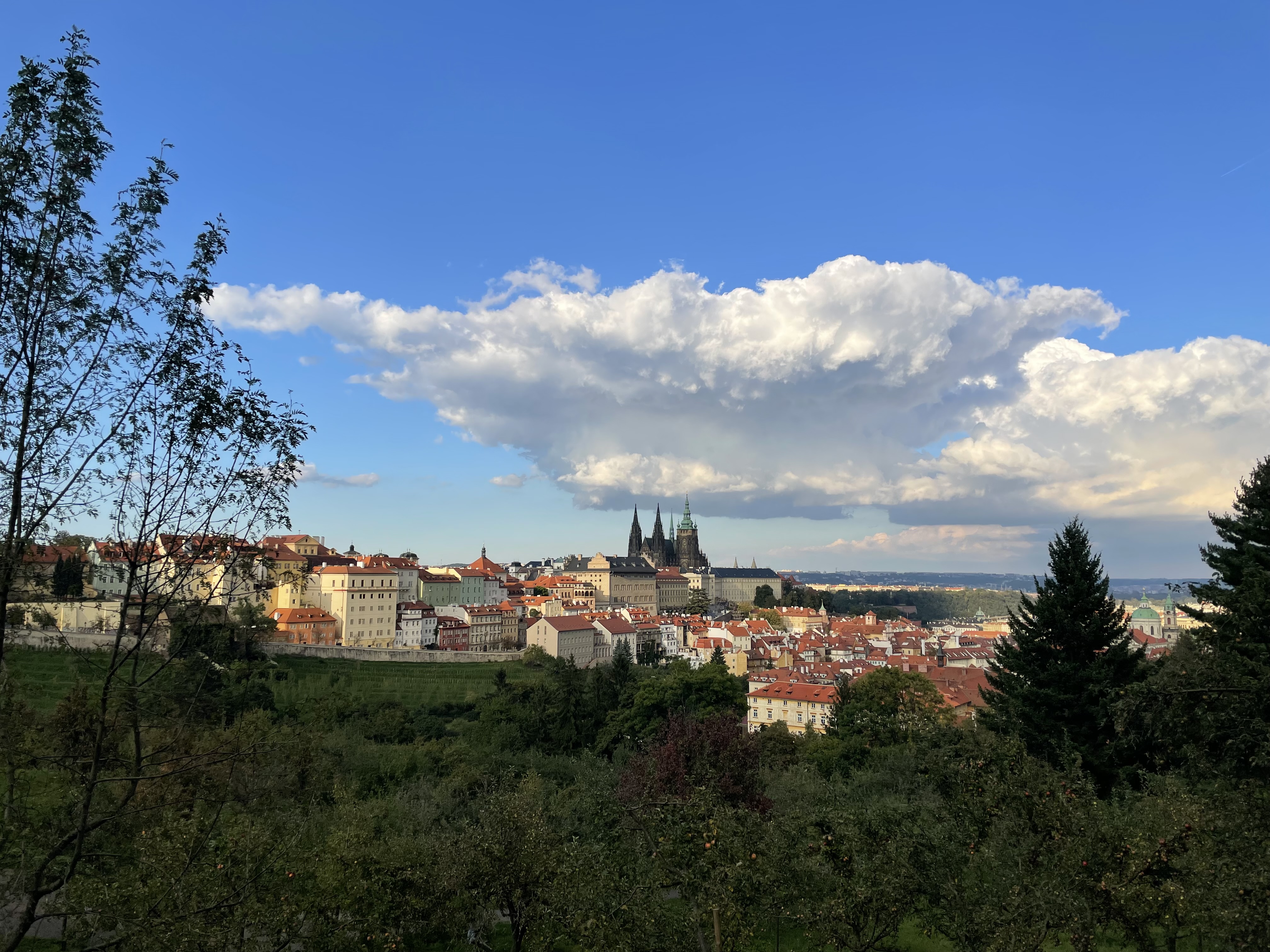 Josefa's view of Praha